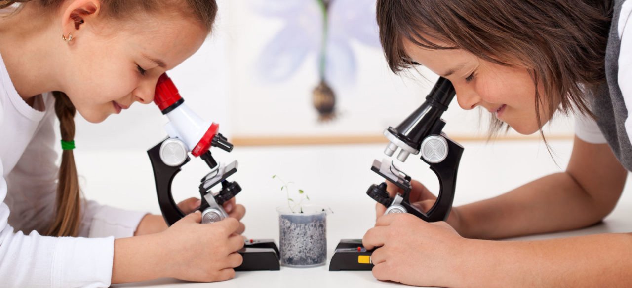 микроскопы детские в Тюмени